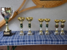 Tenis