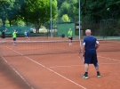 Tenis