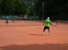 Tenis