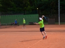 Tenis