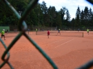 Tenis