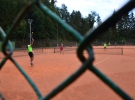 Tenis