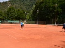 Tenis