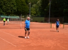 Tenis