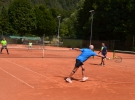 Tenis