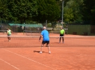 Tenis